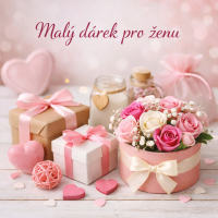Malý dárek pro ženu, který udělá velkou radost