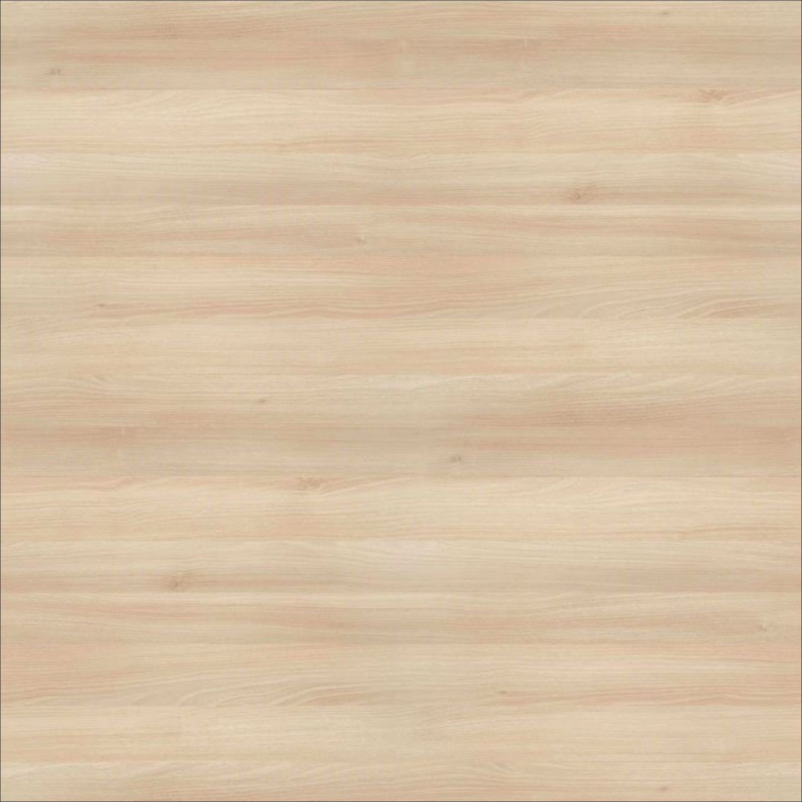 Akácie Lakeland světlá(+ 20 % )