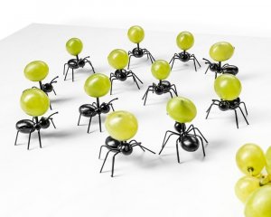 Párty mravenci na občerstvení