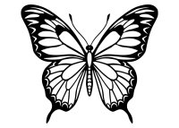 Dřevěný obraz – Elegantní motýl