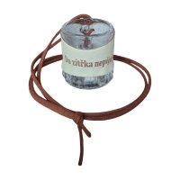 Skleněný panák s koženým obalem – Do zítřka nepiju!