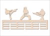 Věšák na medaile - Karate